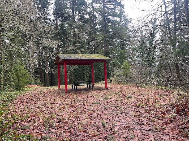 Castle Rock Trail - Image 2