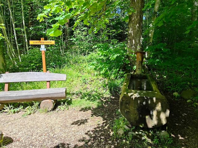 Lindenbrunnen - Image 1