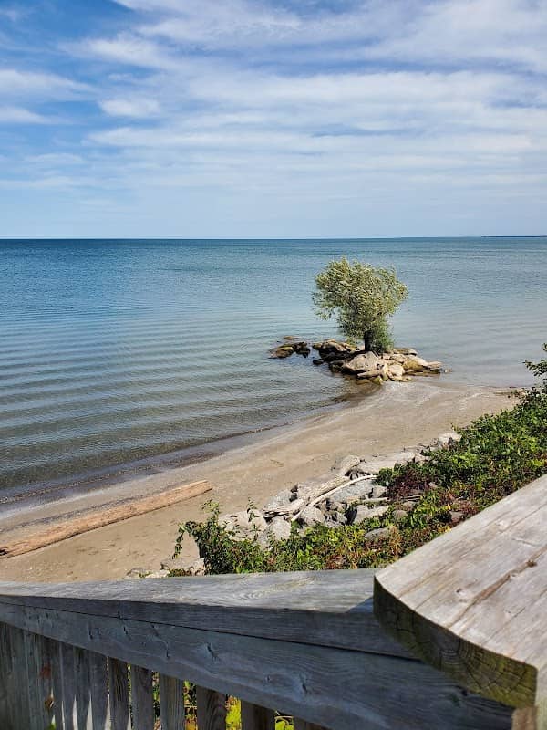 Victoria Shores Park - Image 2
