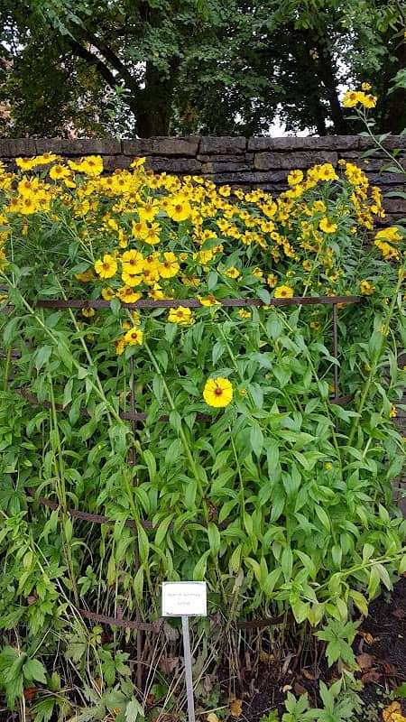 Botaniska Trädgården - Image 1