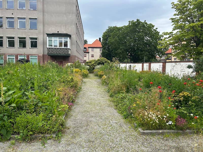 Botaniska Trädgården - Image 2
