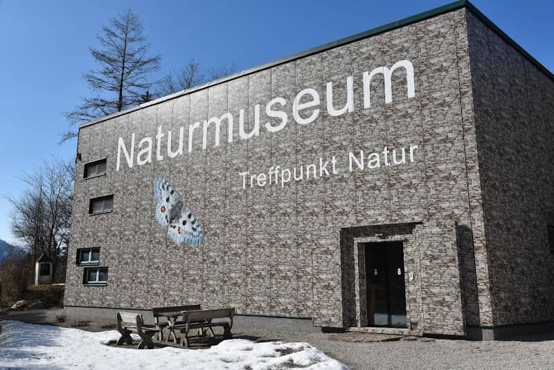 Naturmuseum Salzkammergut | Naturwelten - Image 1
