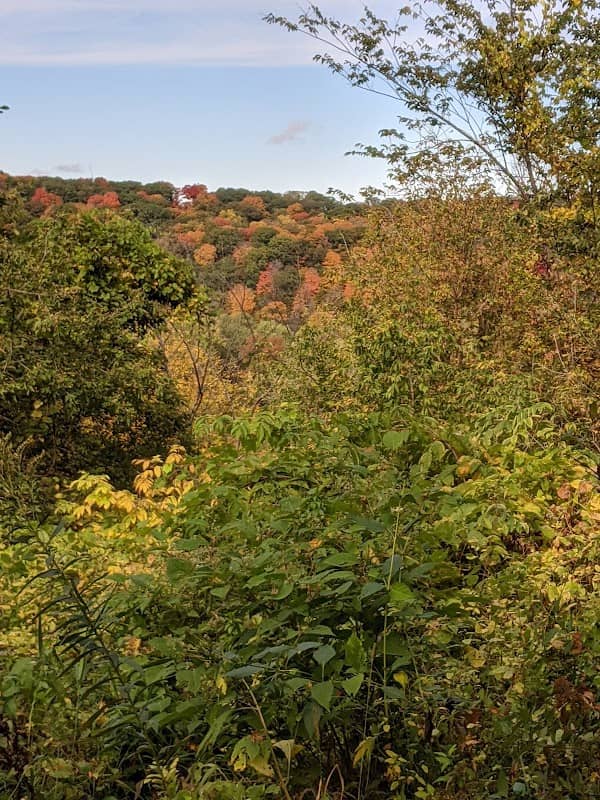 Ladd Overlook - Image 1