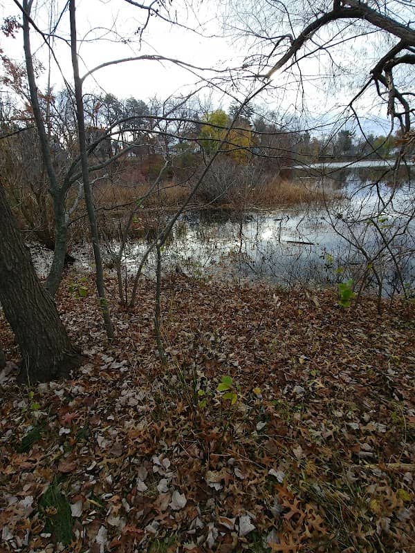 Goodwin Park - Image 2