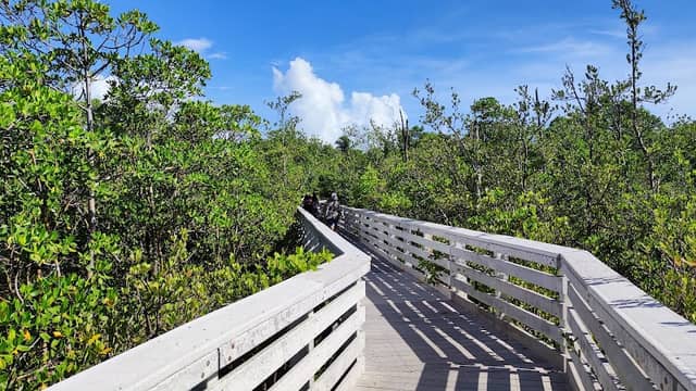 Anne Kolb Nature Center - Image 2