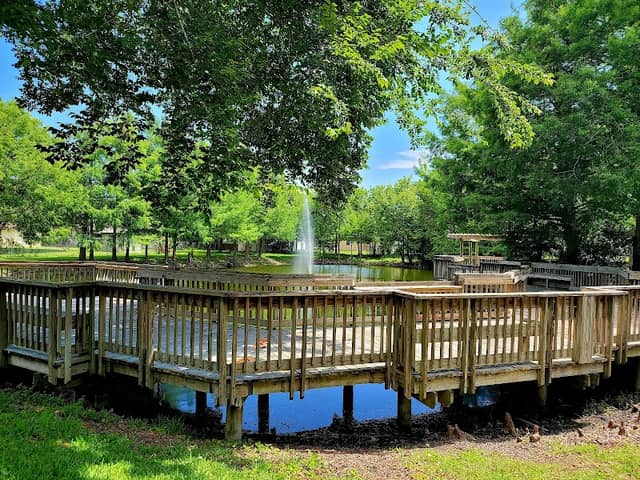 Magnolia Park - Image 2