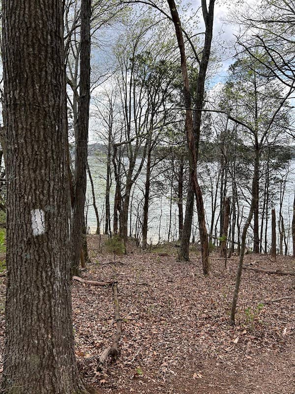Coytee Road Parking and Trailhead - Image 1