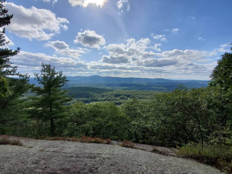 East Mountain State Forest - Image 1