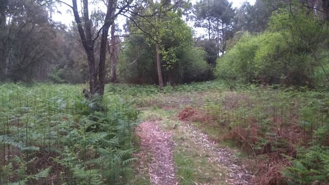 Caminho antigo da fonte - Image 1