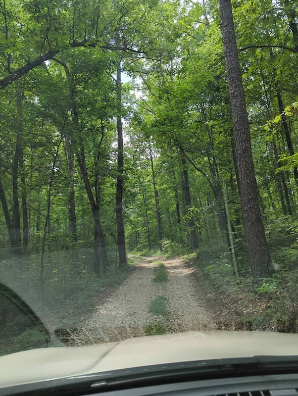 Little Black Conservation Area - Image 1
