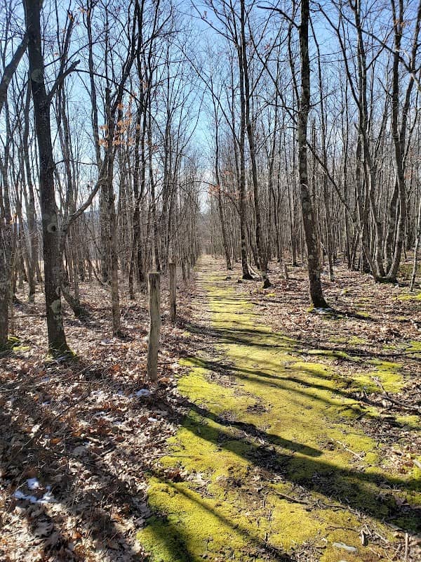 Meshach Browning trails - Image 1