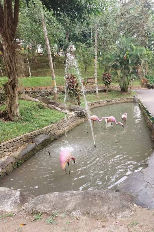 Taman Satwa - Image 2