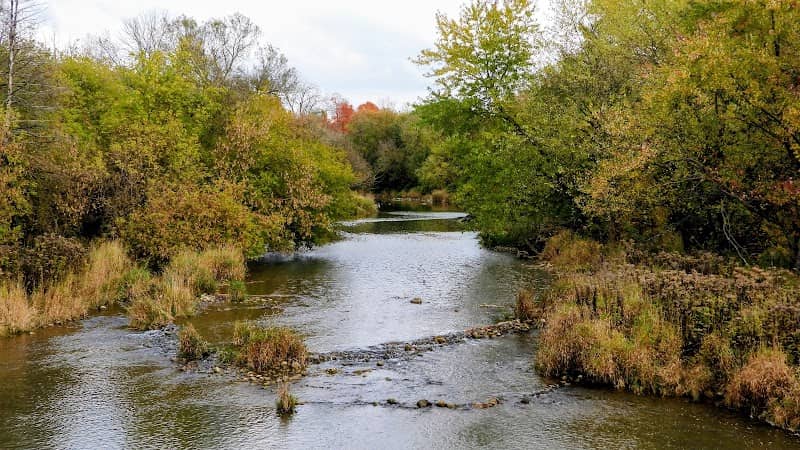 Mount Forest Saugeen Trail - Image 2