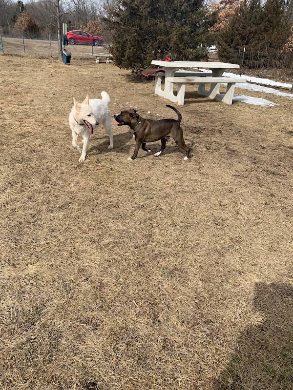 Clear Lake Township Park - Image 1