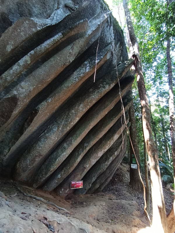 Bukit Baginda wave rock - Image 1