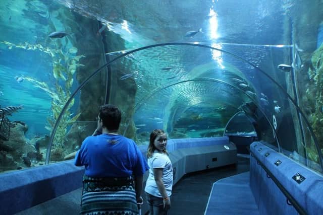 National Aquarium of New Zealand - Image 2
