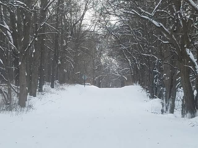 Sharonville State Wildlife Management Area - Image 1
