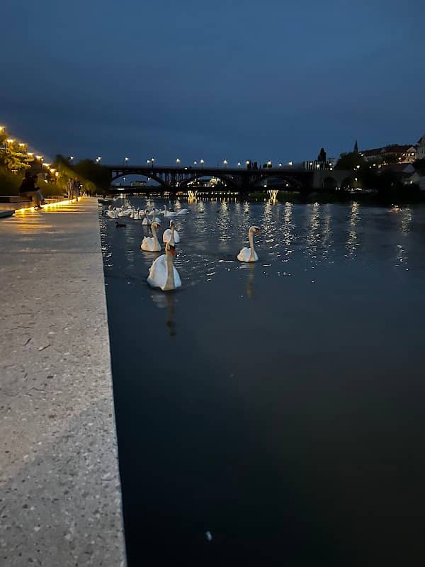 Mariborsko Nabrežje - Image 3