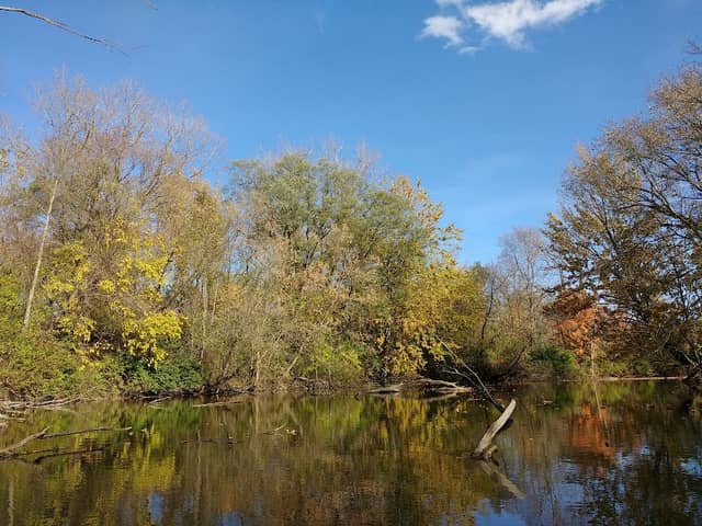 Draper-Houston Meadows Preserve - Image 2
