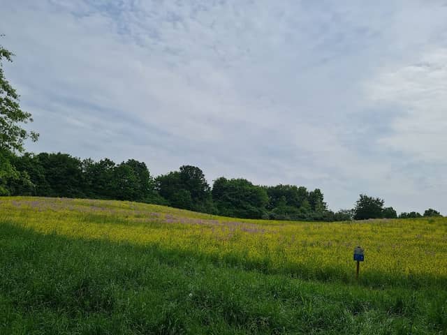 Königsgruber Park - Image 1