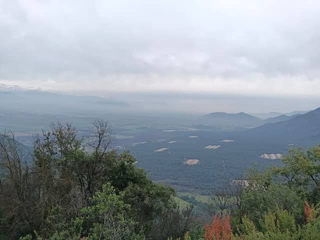 La torre - Image 1