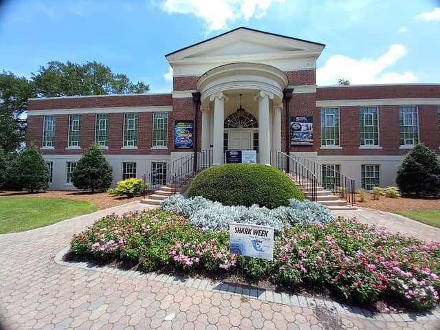 Georgia Southern Museum - Image 1