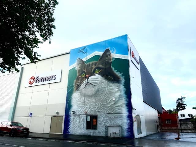 SWIFTMANTIS Cat Mural - Hangar the Airport Cat - Image 1