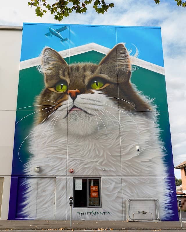 SWIFTMANTIS Cat Mural - Hangar the Airport Cat - Image 2