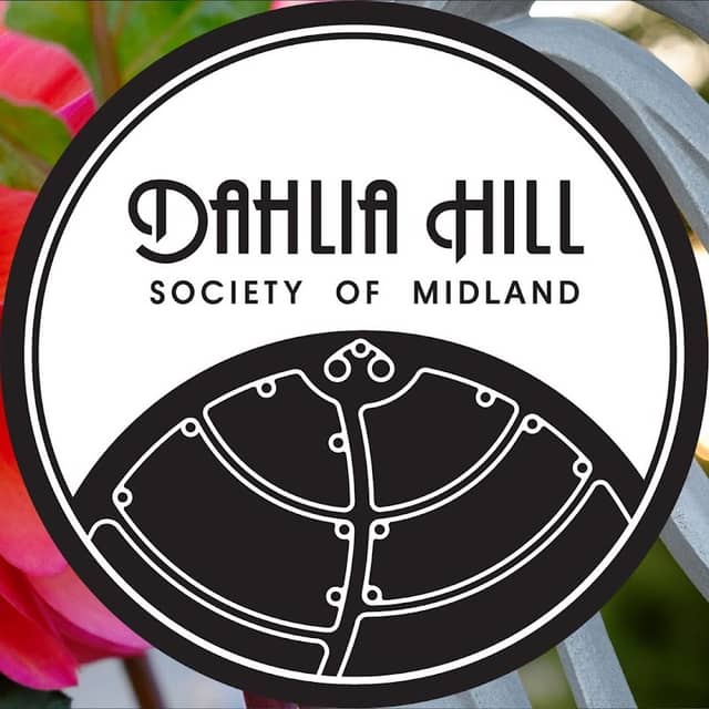 Dahlia Hill Society - Image 2