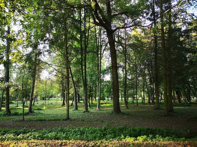 Central Park of Culture and Rest - Image 1