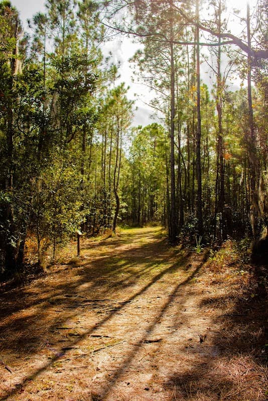 Tavares Nature Park - Image 2