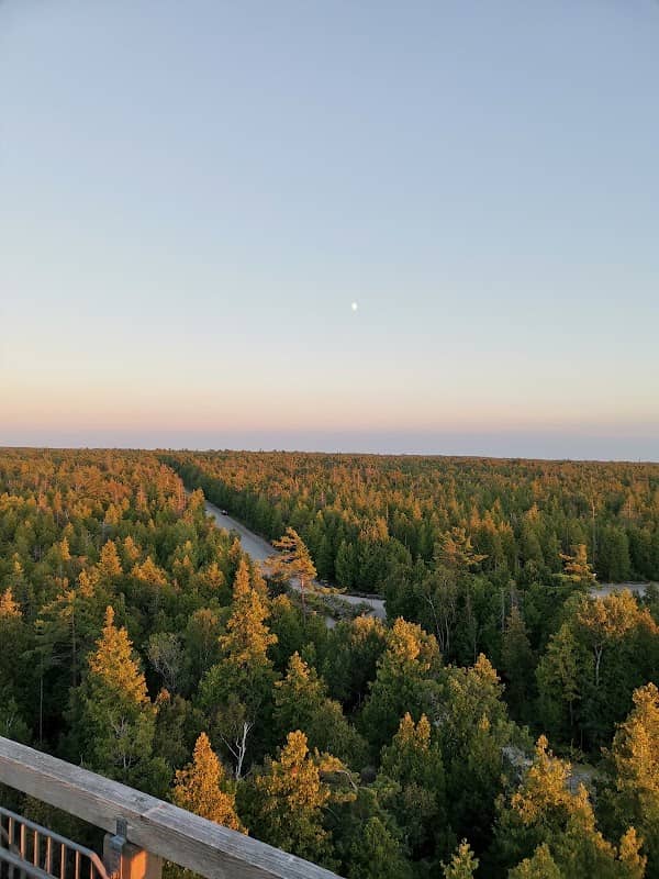 Visitor Centre Lookout Tower - Image 2