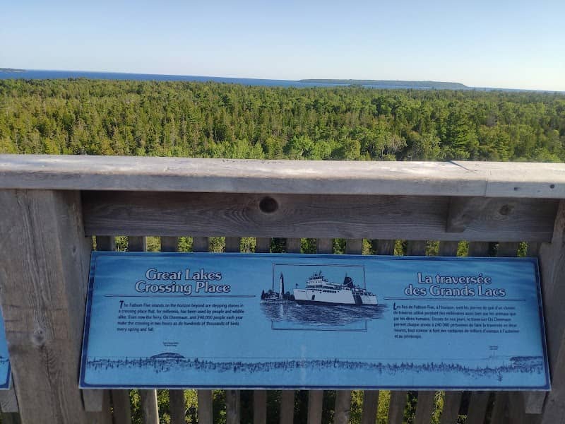 Visitor Centre Lookout Tower - Image 3