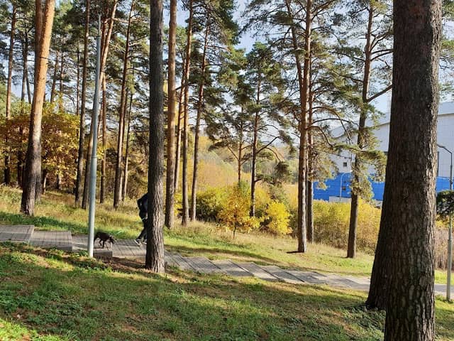 Тимоховский Парк - Image 1