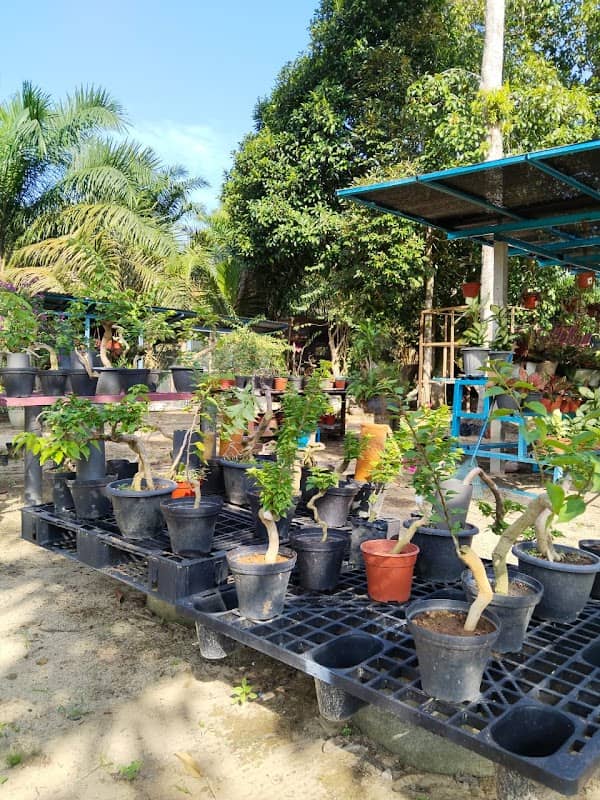 TOK TEK Nursery - Image 1