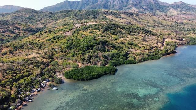 Marlon Island Tour - Image 1