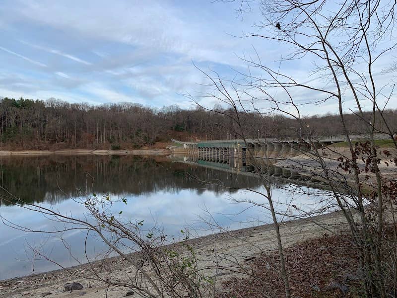 Brighton Dam - Image 1