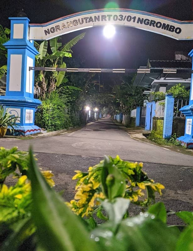 NGRANGUTAN CENTRUM - Image 1