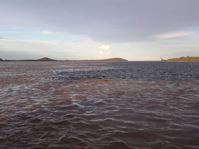 Caroni-Orinoco River Confluence - Image 1
