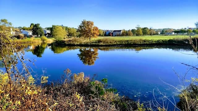 Manchester Park - Image 2