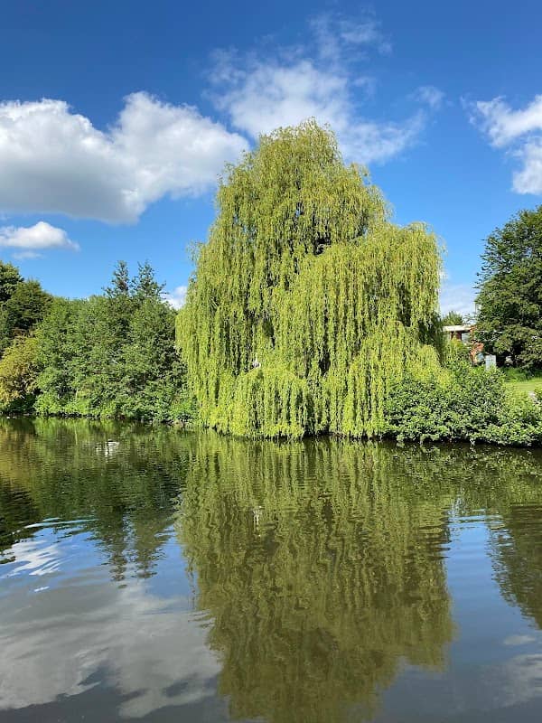 Oldentruper Park - Image 2