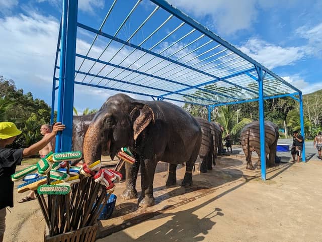 Green Elephant Sanctuary Park - Image 2