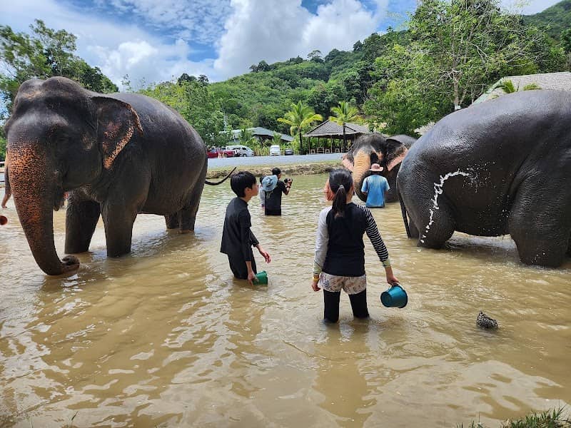 Green Elephant Sanctuary Park - Image 1