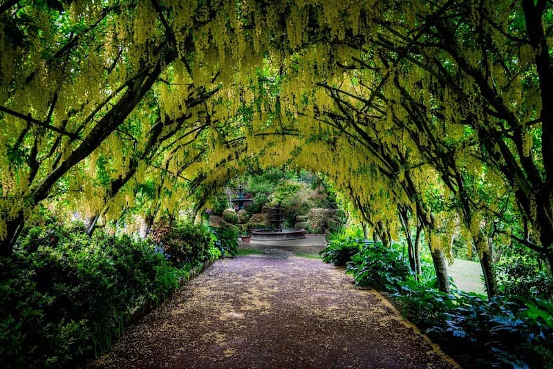 Forest Glade Gardens - Image 1