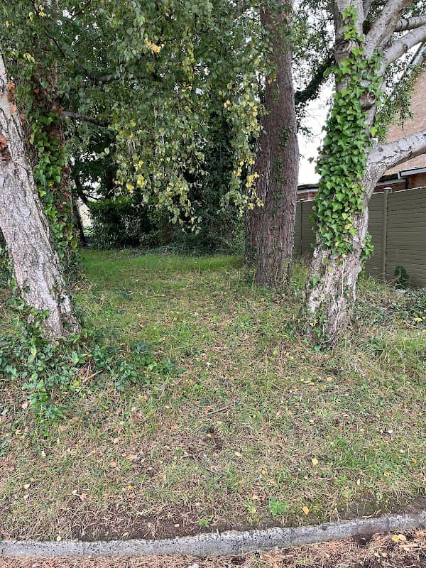 Waterlooville Nature Trail - Image 1