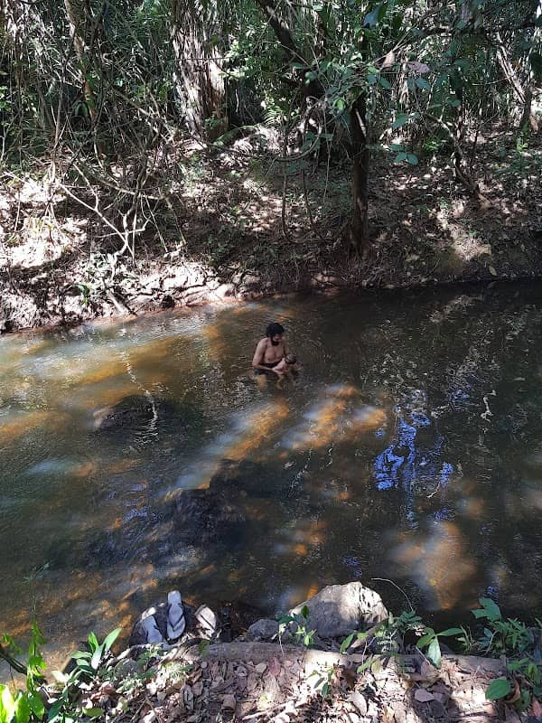 Floresta Taquaruçu - Image 1