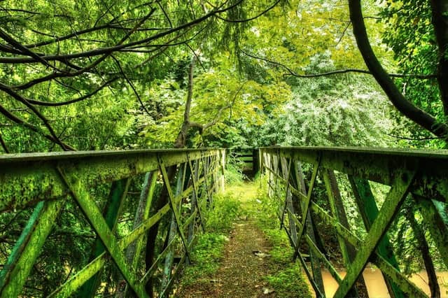 Remaining of the old bridge - Image 1