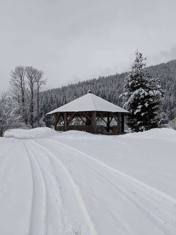 Slocan Lake Dog Beach - Image 2