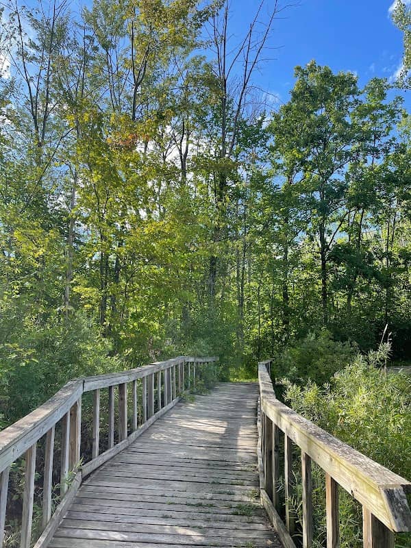 Harvey Randall Wickes Park - Image 1