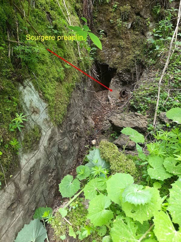 Săcele. Mineral water spring until 1750. - Image 1